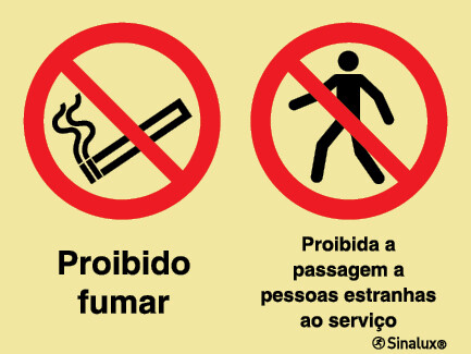 P2134 PVC fotoluminescente 600x400 TIPO 1