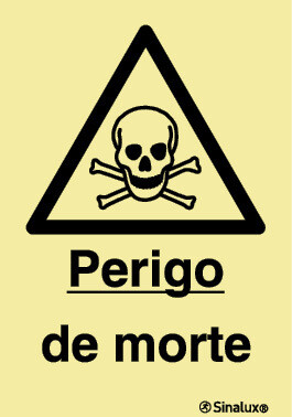 P1128 PVC fotoluminescente 200x300 TIPO 2