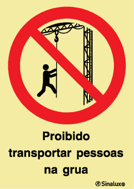 P1889 PVC fotoluminescente 200x300 TIPO 1