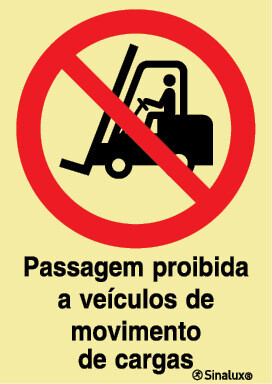P1884 PVC fotoluminescente 200x300 TIPO 1