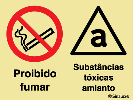 P2177 PVC fotoluminescente 400x300 TIPO 2
