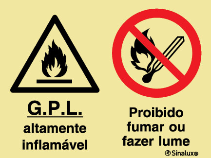 P2171 PVC fotoluminescente 800x600 TIPO 3