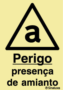 P1317 PVC fotoluminescente 200x300 TIPO 3