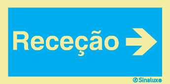 P2982 PVC opaco 400x200 TIPO 1
