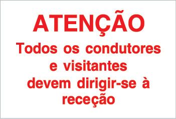 P3669 Vinil autocolante opaco 1000x600 TIPO 1
