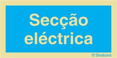 P3077 PVC fotoluminescente 200x100 TIPO 3
