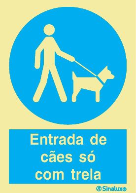 P1616 PVC fotoluminescente 150x200 TIPO 2