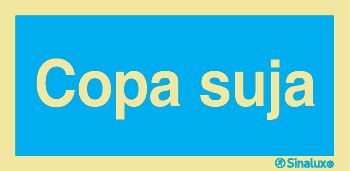 P3161 PVC fotoluminescente 400x200 TIPO 1