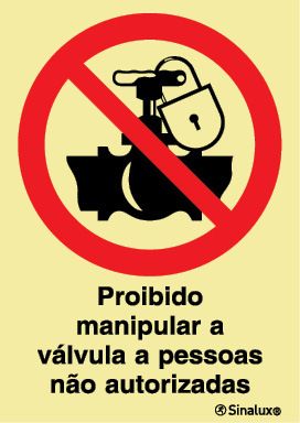 P1839 PVC fotoluminescente 200x300 TIPO 2