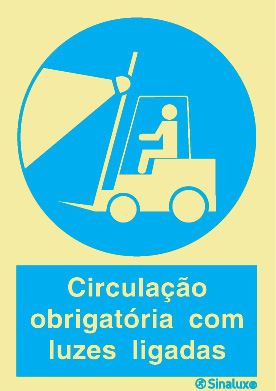 P1564 PVC fotoluminescente 200x300 TIPO 3