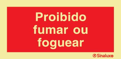 P1974 PVC fotoluminescente 300x150 TIPO 2