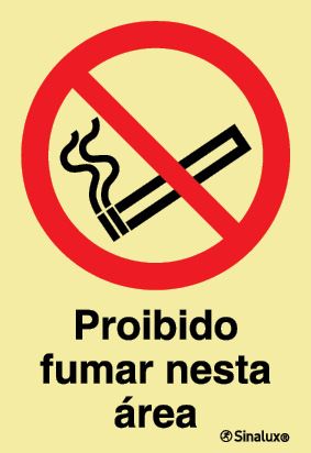 P1682 PVC fotoluminescente 150x200 TIPO 2