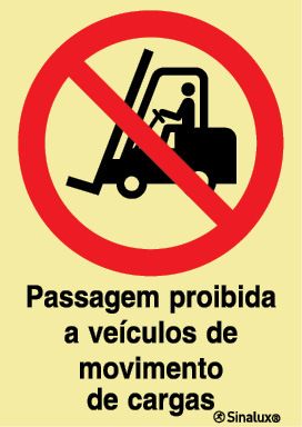 P1884 Vinil autocolante opaco 300x400 TIPO 1