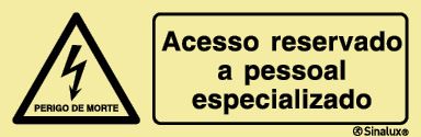 P1394 PVC fotoluminescente 300x100 TIPO 1
