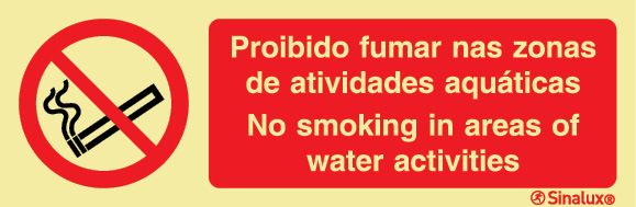 P3931 PVC fotoluminescente 300x100 TIPO 3