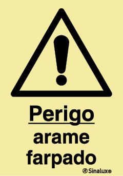 P1347 PVC fotoluminescente 400x600 TIPO 3