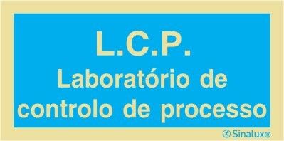 P2896 PVC fotoluminescente 200x100 TIPO 1