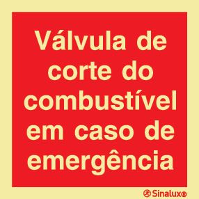 P0748 PVC fotoluminescente 300x300 TIPO 1