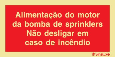 P0769 PVC fotoluminescente 200x100 TIPO 1