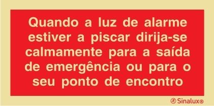 P0866 PVC fotoluminescente 400x200 TIPO 3