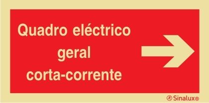 P0865 PVC fotoluminescente 400x200 TIPO 1