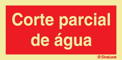 P0832 PVC fotoluminescente 300x150 TIPO 2