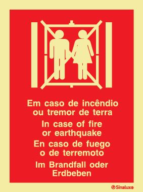 P0615 PVC fotoluminescente 200x300 TIPO 1