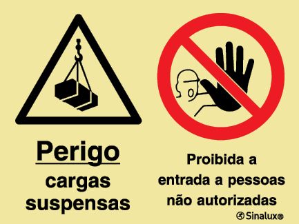P2162 PVC fotoluminescente 600x400 TIPO 2