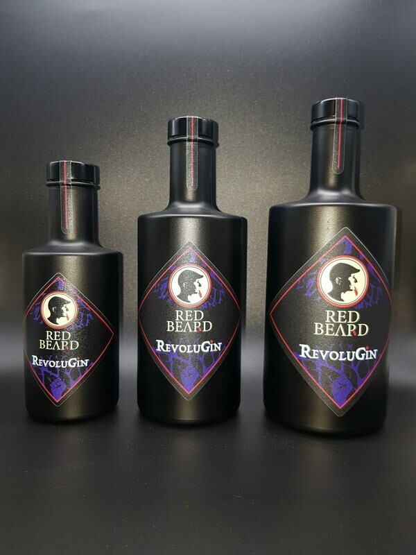 RevoluGin 0,2 l