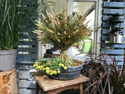 Herbst