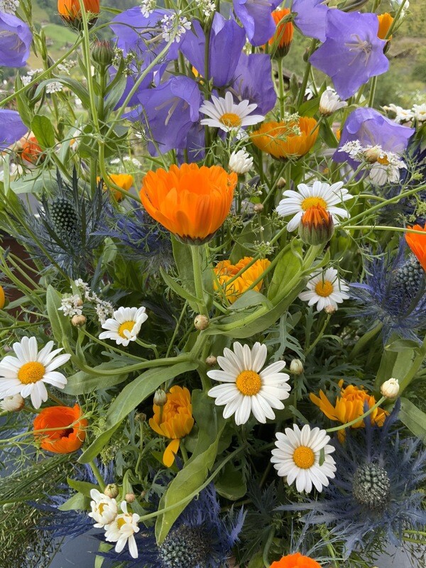 12x eine blumige Überraschung