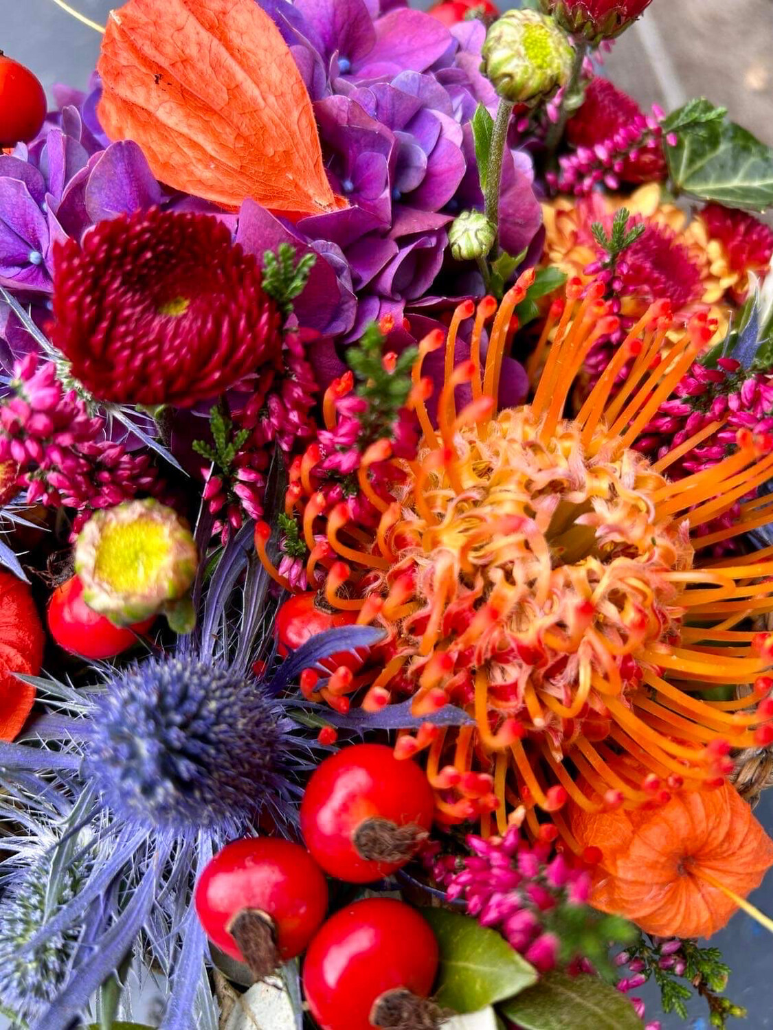 Winterblues Winterblues