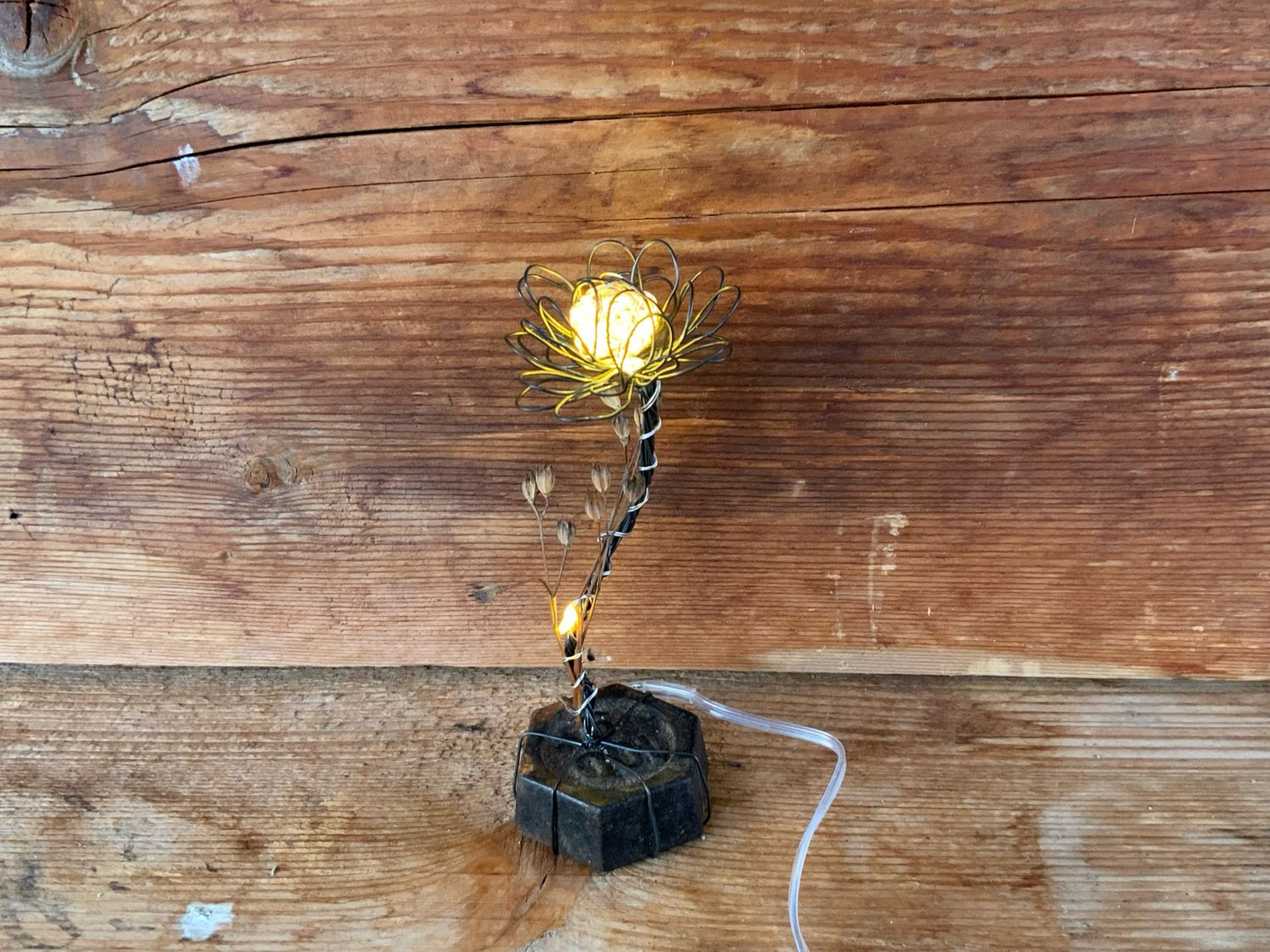 Lichtblume Lichtblume