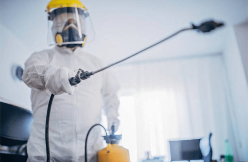 Domestic antiviral sanitisation service