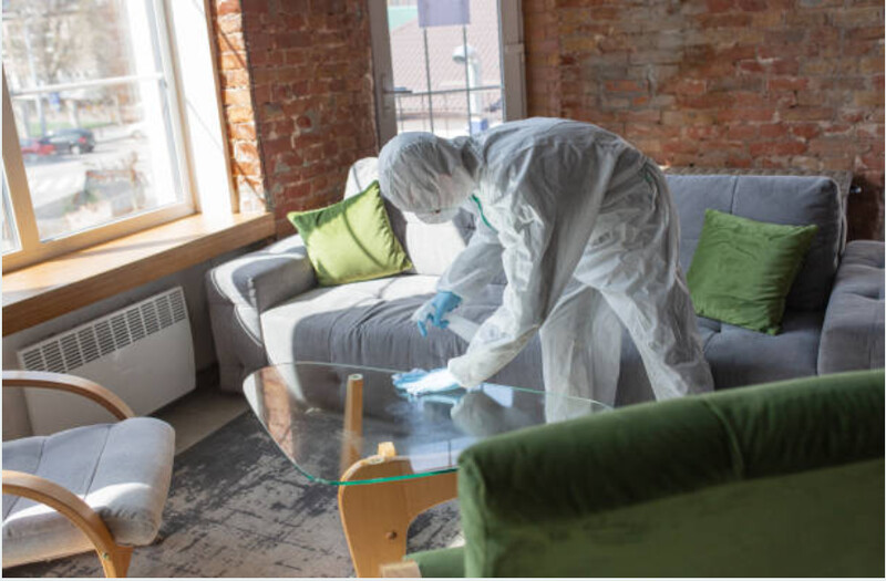 Professional deep cleaning