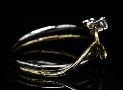 18 Kt bicolor geel/witgouden ring