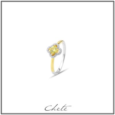 Zilveren ring
