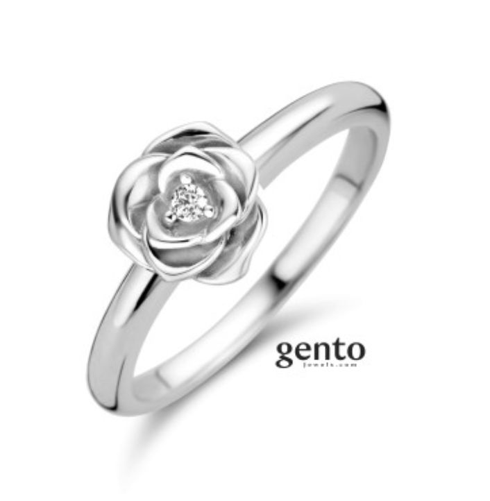 Zilveren ring