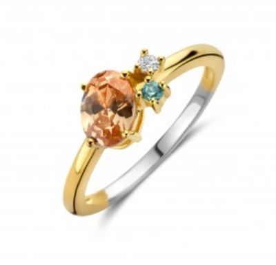 Zilveren ring