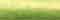Festive Green - DAO261