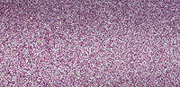 Purple Princess - DGD22