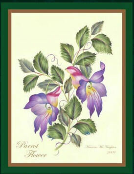 Botanical Parrot Flower - #792