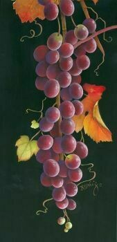 Dark Red Grapes Fruit Grouping