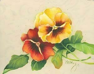 Yellow & Orange Pansies