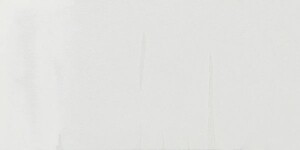 Titanium White 15ML