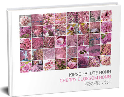 Kirschblüte Bonn - Bildband