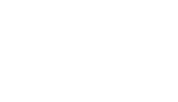 THE MASK STORE