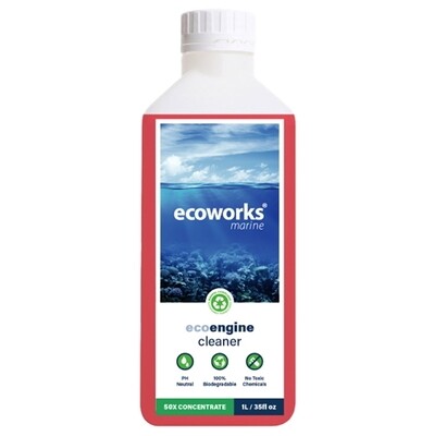 Ecoworks Motor reiniger