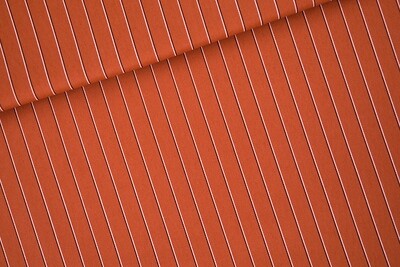 Canvas Cotton Gabardine Twill - Bombay Bruin Lines