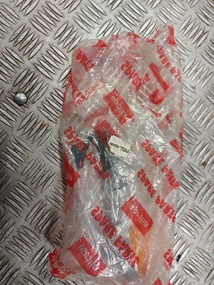 Blinker Scarabeo 125 8124786